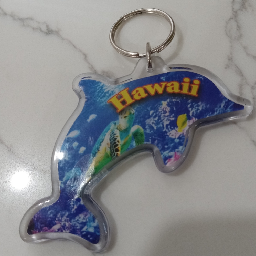 Hawaii Dolphin Keychain